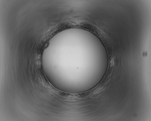X0000111221156200907021328