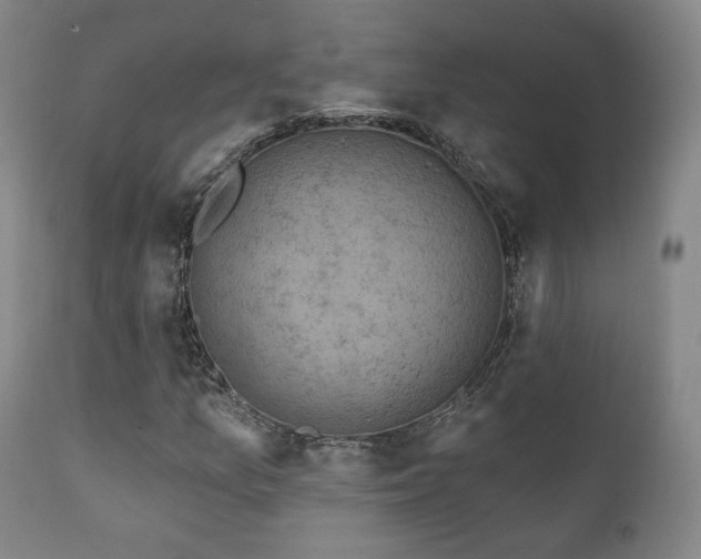 X0000111221157200907021328