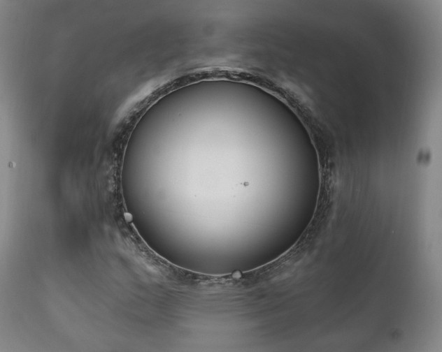 X0000111221159200907021328