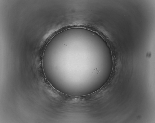X0000111221160200907021328