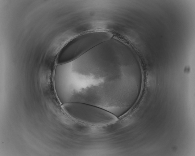 X0000111221161200907021328