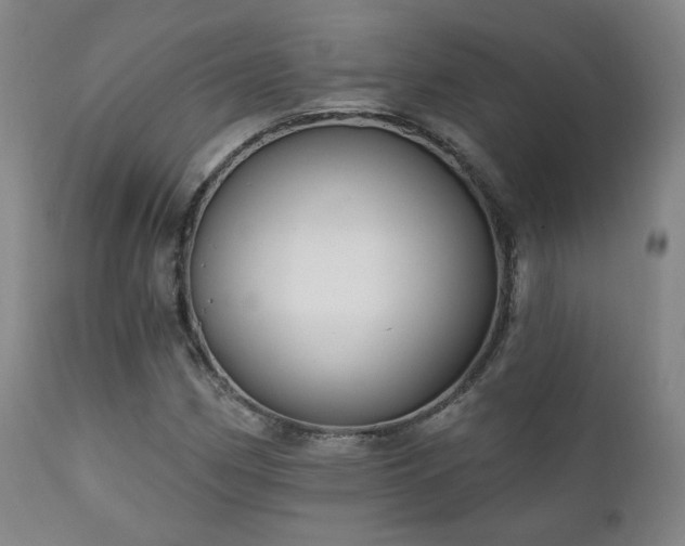 X0000111221162200907021328