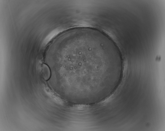 X0000111221163200907021328