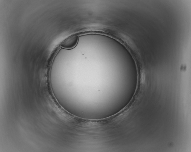 X0000111221164200907021328