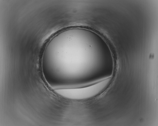 X0000111221165200907021328