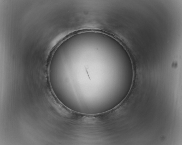 X0000111221168200907021328