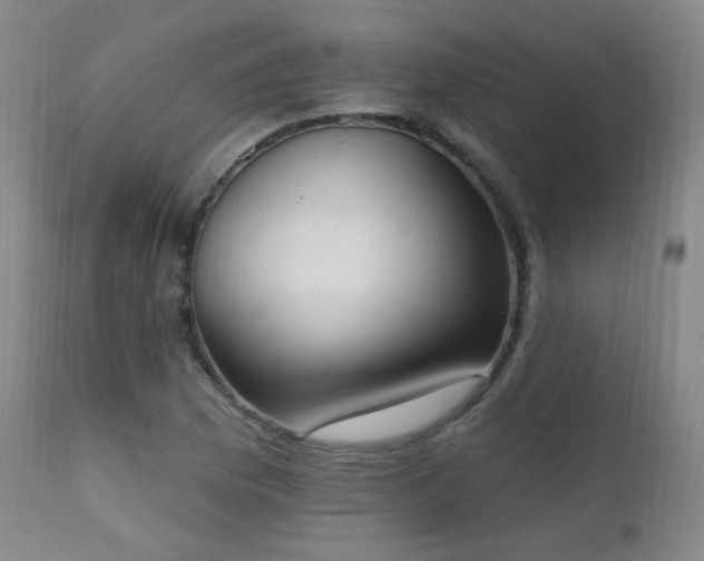 X0000111221169200907021328