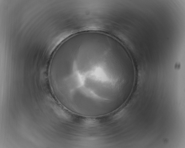 X0000111221170200907021328