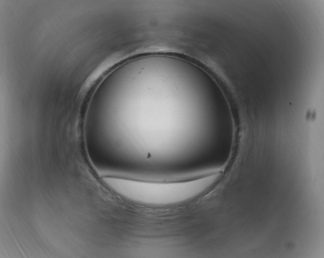 X0000111221173200907021328