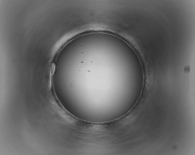X0000111221175200907021328