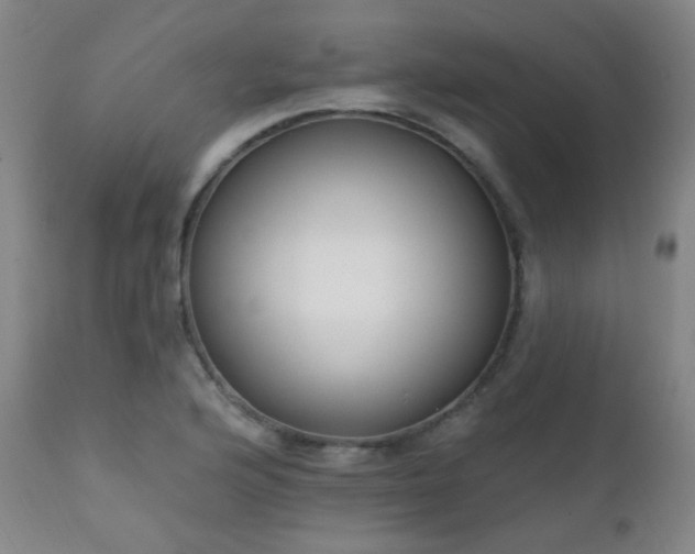 X0000111221176200907021328