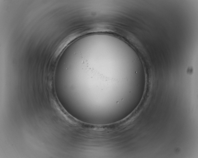 X0000111221177200907021328