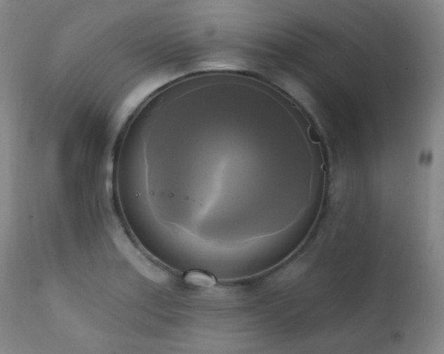 X0000111221179200907021327