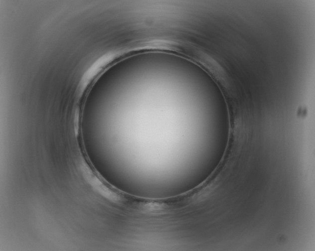 X0000111221180200907021327