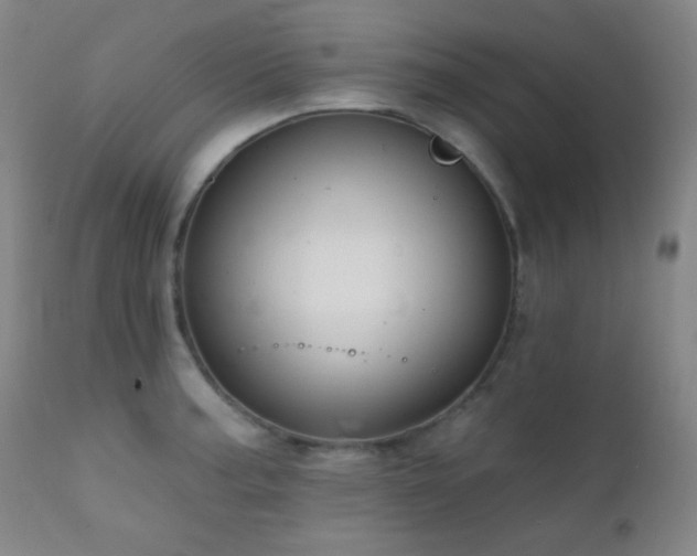 X0000111221187200907021327