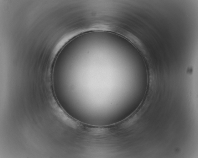 X0000111221192200907021327