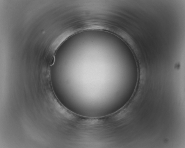 X0000111221193200907021327