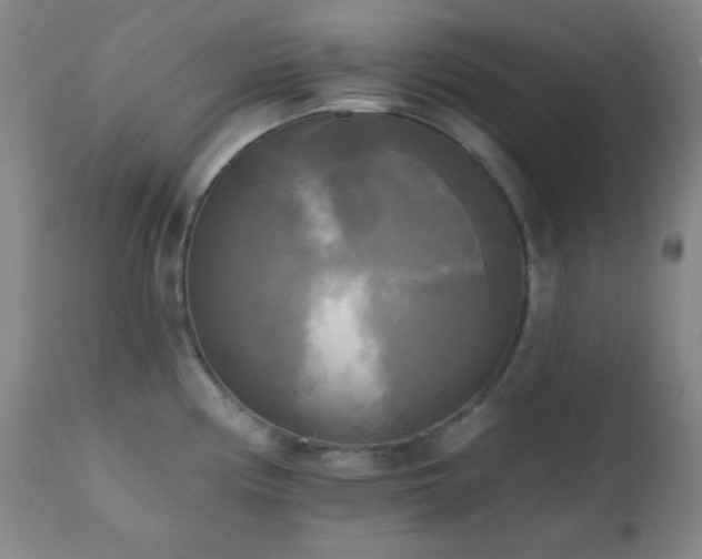 X0000111221194200907021327