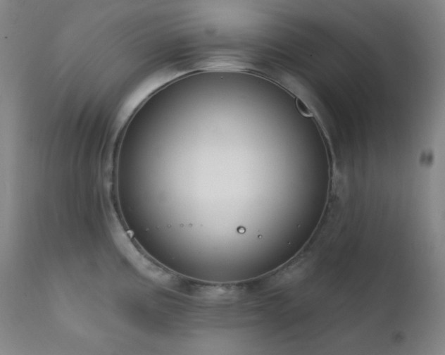 X0000111221195200907021327