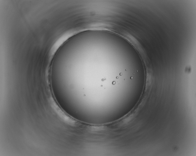 X0000111221196200907021327