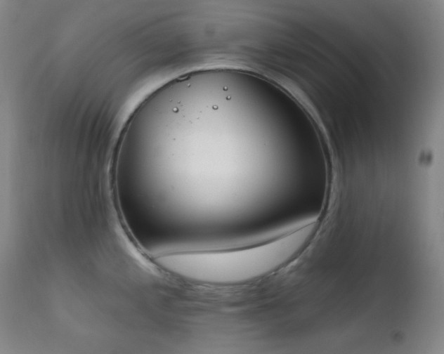 X0000111221197200907021327