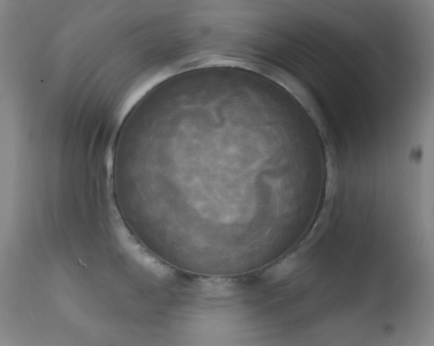 X0000111221198200907021327