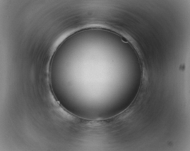 X0000111221199200907021327
