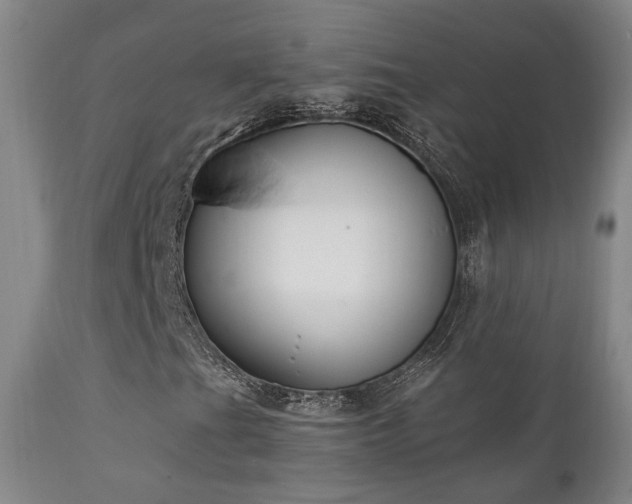 X0000111221201200907021326