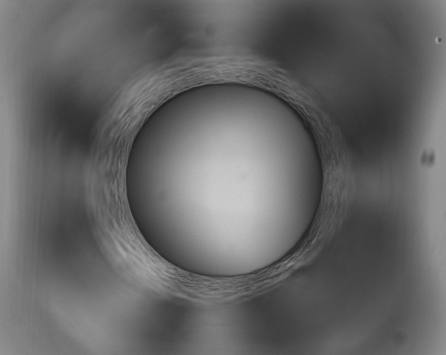 X0000111221202200907021326