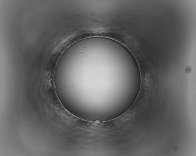X0000111221205200907021326