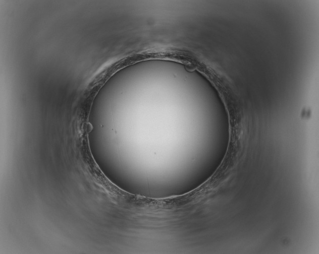X0000111221206200907021327