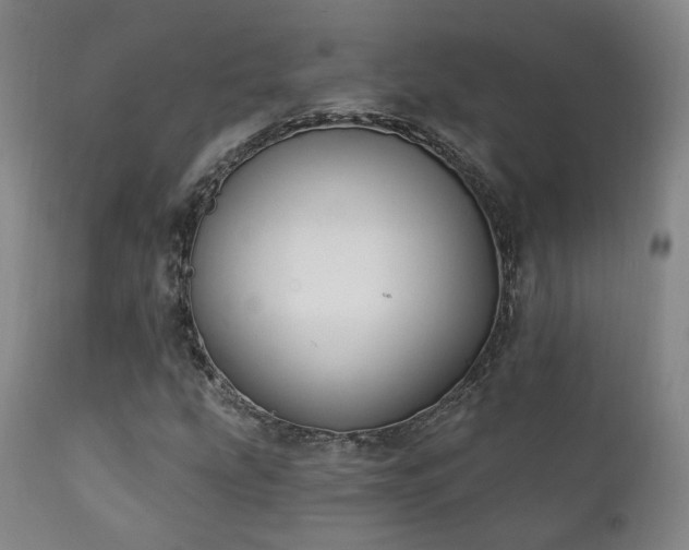 X0000111221207200907021327