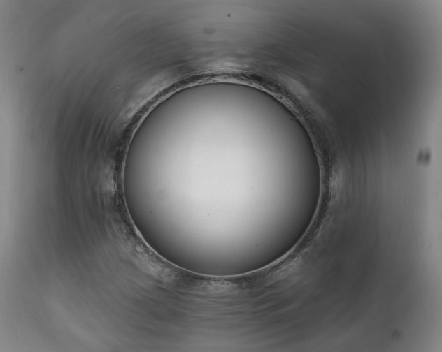 X0000111221209200907021327
