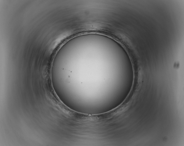 X0000111221210200907021327
