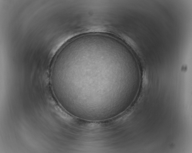 X0000111221212200907021327