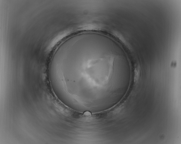 X0000111221213200907021327