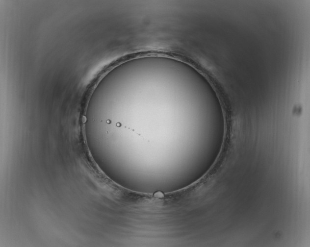 X0000111221214200907021327