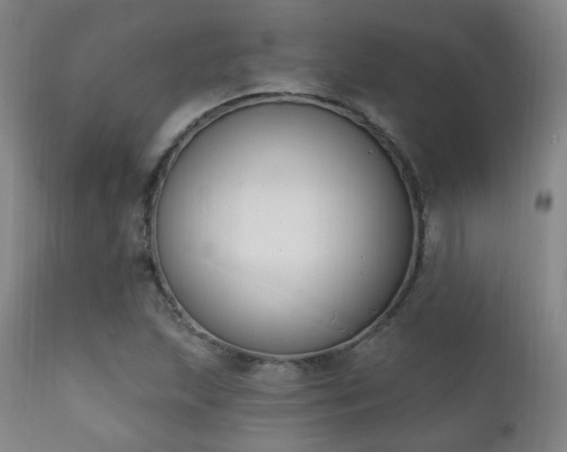 X0000111221215200907021327