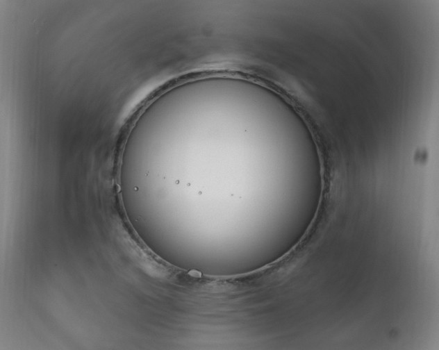 X0000111221216200907021327