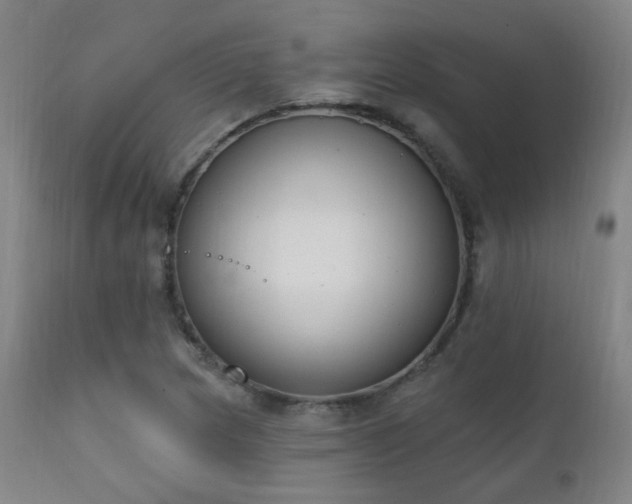 X0000111221217200907021327
