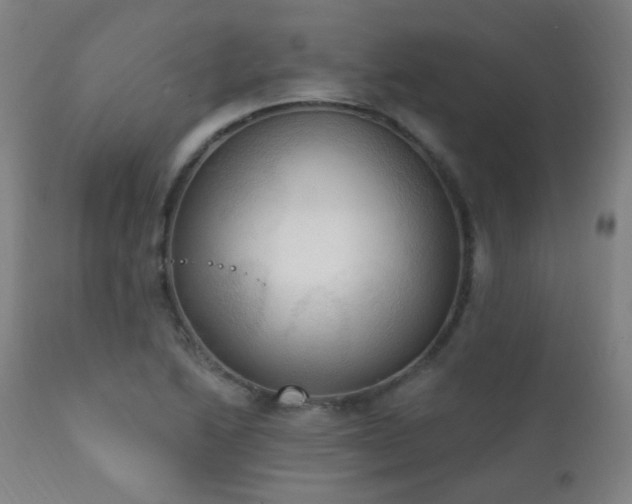 X0000111221222200907021327