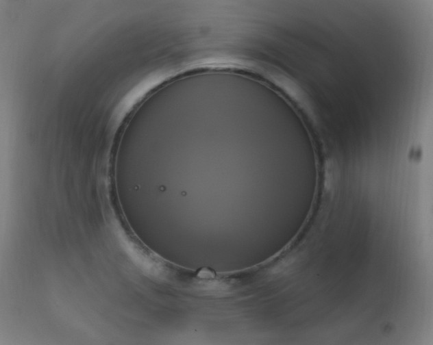 X0000111221229200907021327