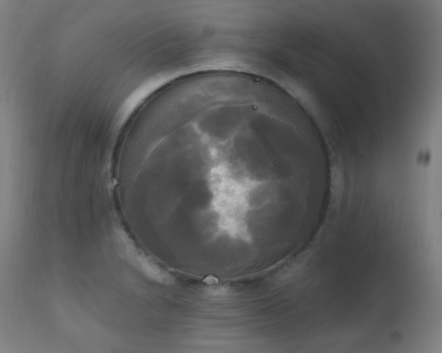 X0000111221230200907021327