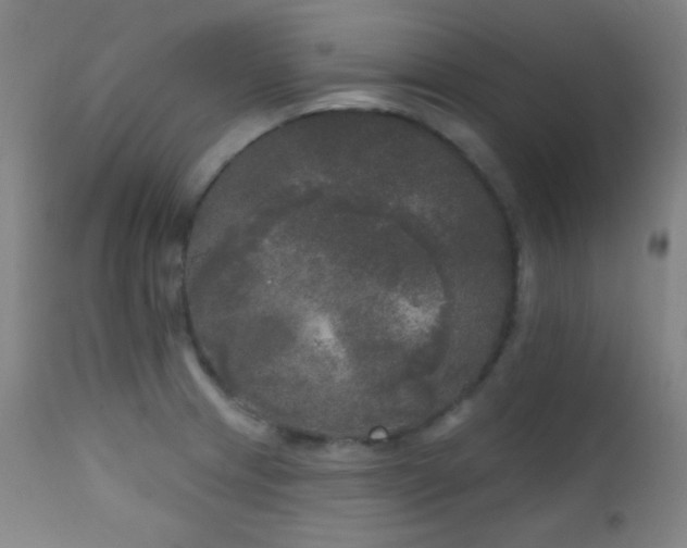 X0000111221233200907021327