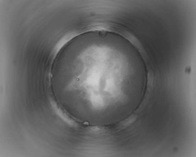 X0000111221234200907021327