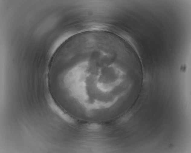 X0000111221235200907021327