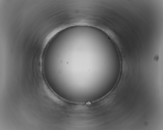 X0000111221238200907021327