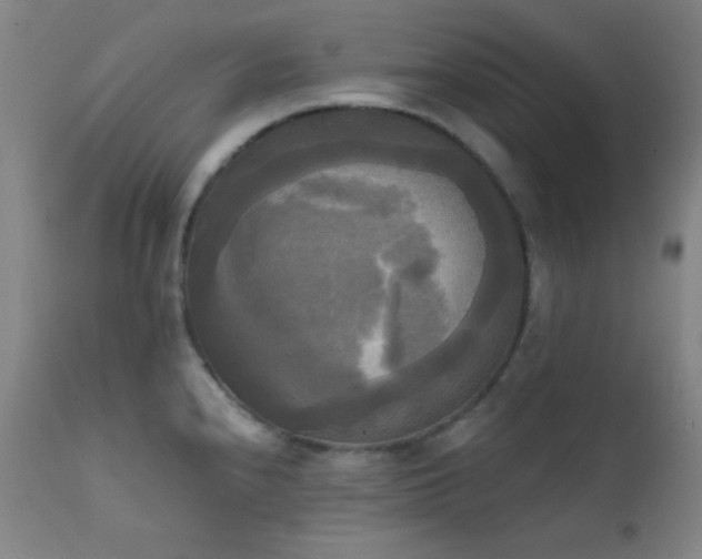 X0000111221240200907021327
