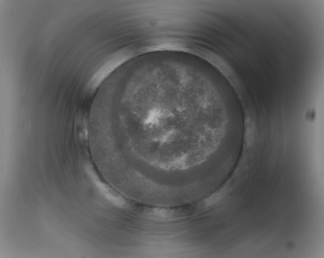 X0000111221241200907021327