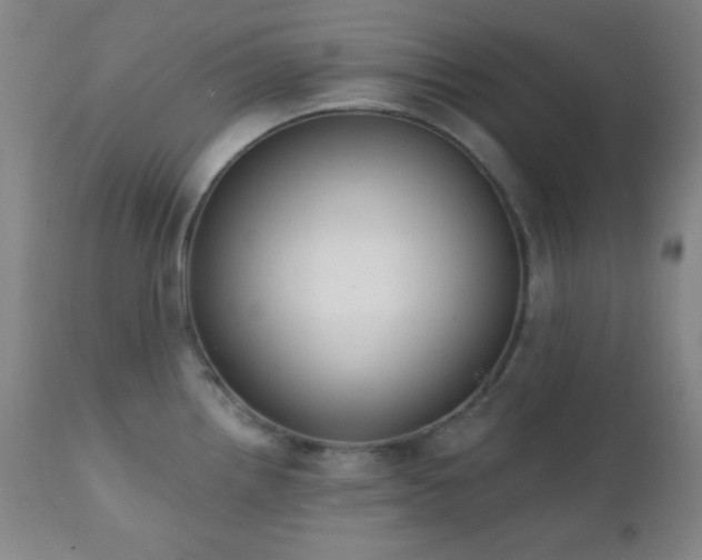 X0000111221242200907021327